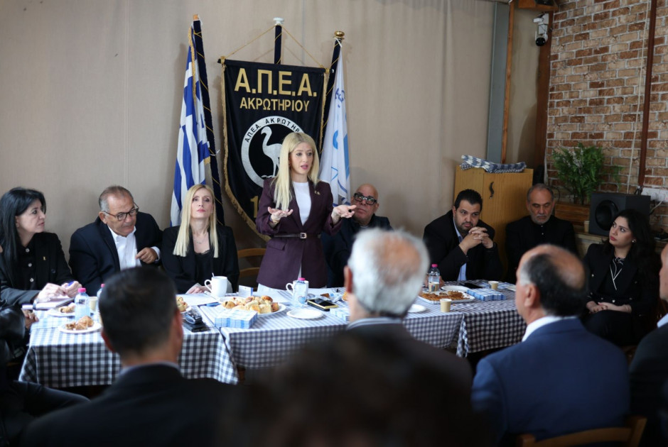 Αννίτα Δημητρίου: Διαβήματα για το Ακρωτήρι και τις 32 κεραίες