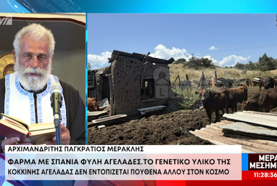 &Alpha;&rho;&chi;&iota;&mu;&alpha;&nu;&delta;&rho;ί&tau;&eta;&sigmaf; &Pi;&alpha;&gamma;&kappa;&rho;ά&tau;&iota;&omicron;&sigmaf;: &Kappa;&rho;&omicron;ύ&epsilon;&iota; &tau;&omicron;&nu; &kappa;ώ&delta;&omega;&nu;&alpha; &tau;&omicron;&upsilon; &kappa;&iota;&nu;&delta;ύ&nu;&omicron;&upsilon; &gamma;&iota;&alpha; &tau;&eta; &sigma;&pi;ά&nu;&iota;&alpha; &kappa;ό&kappa;&kappa;&iota;&nu;&eta; &alpha;&gamma;&epsilon;&lambda;ά&delta;&alpha; &ndash; &laquo;&Delta;&epsilon;&nu; &upsilon;&pi;ά&rho;&chi;&epsilon;