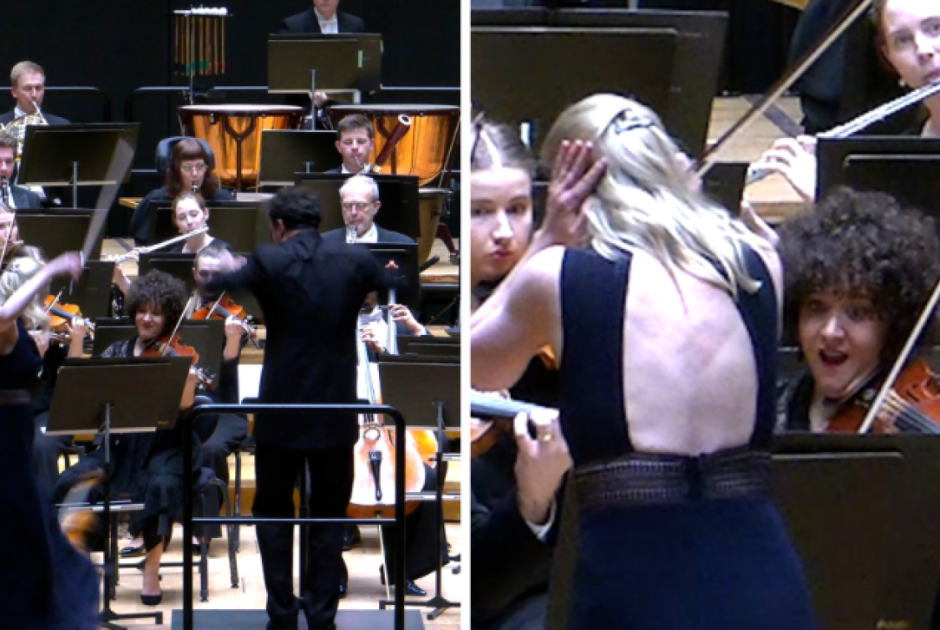 Μαέστρος έριξε κατά λάθος βιολί του 18ου αιώνα αξίας 1 εκατομμυρίου σε συναυλία (ΒΙΝΤΕΟ)