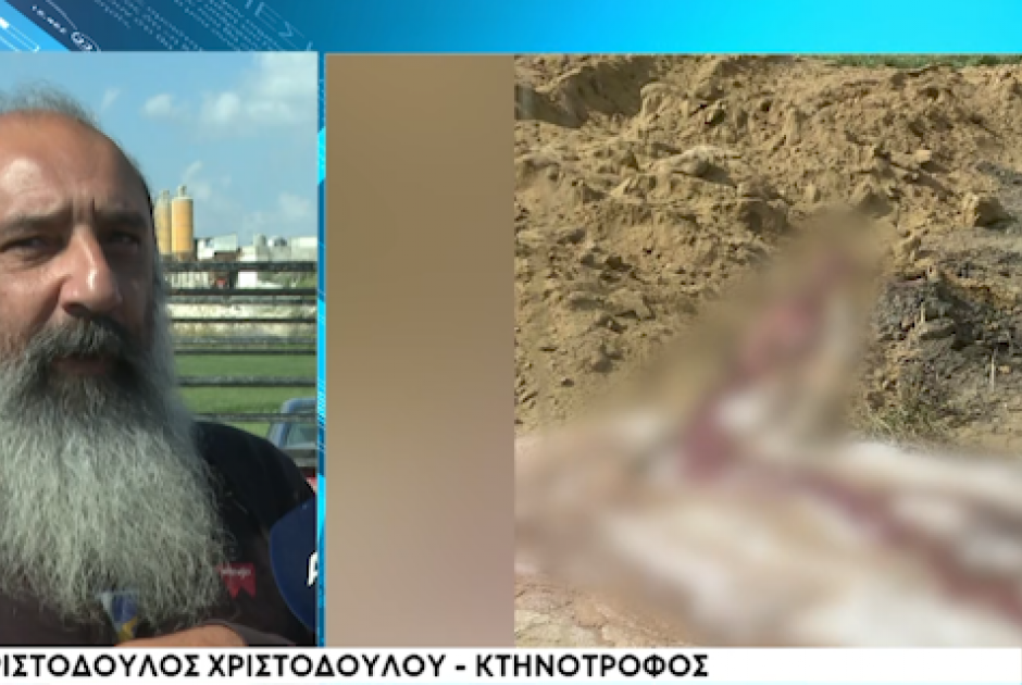 &Sigma;&omicron;&beta;&alpha;&rho;έ&sigmaf; &kappa;&alpha;&tau;&alpha;&gamma;&gamma;&epsilon;&lambda;ί&epsilon;&sigmaf; &gamma;&iota;&alpha; &tau;&alpha; &zeta;ώ&alpha; &pi;&omicron;&upsilon; &theta;ά&beta;&omicron;&nu;&tau;&alpha;&iota;: &Delta;&eta;&mu;&iota;&omicron;&upsilon;&rho;&gamma;&epsilon;ί&tau;&alpha;&iota; &mu;ό&lambda;&upsilon;&nu;&sigma;&eta; &ndash; &laquo;&Delta;&epsilon;&nu; &xi;έ&rho;&omicron;&upsilon;&nu; &tau;&iota; &kappa;ά&nu;&omicron;&upsilon;&nu;, &epsilon;ί&nu;&alpha;&iota; &tau;&omicron;