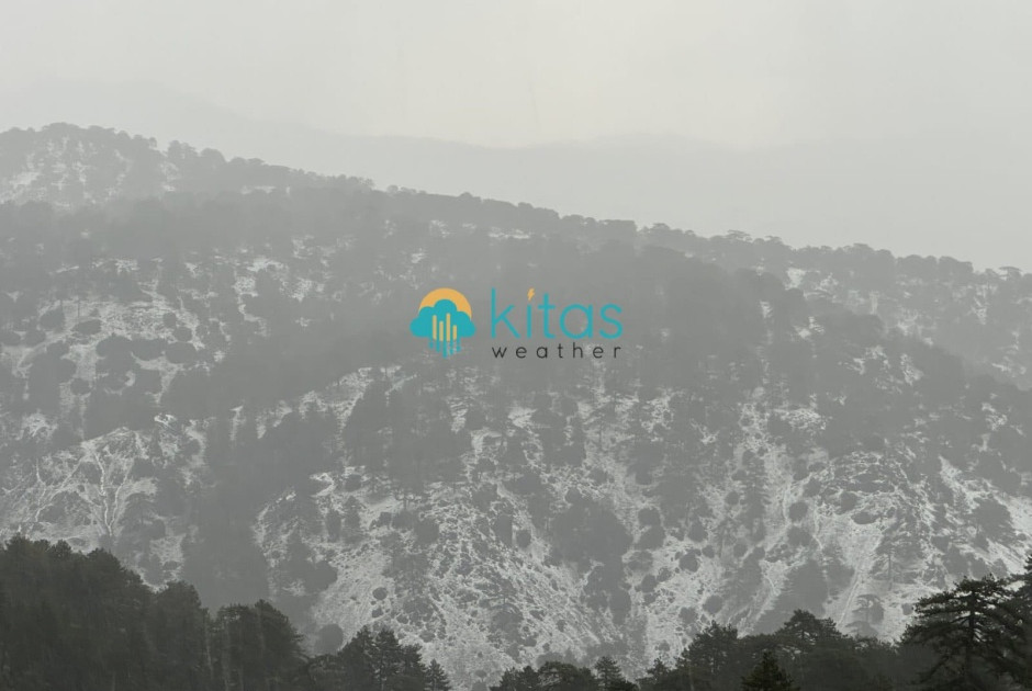 &Sigma;&tau;&alpha; &lambda;&epsilon;&upsilon;&kappa;ά &tau;&omicron; &Tau;&rho;ό&omicron;&delta;&omicron;&sigmaf; - &Mu;&alpha;&gamma;&iota;&kappa;έ&sigmaf; &epsilon;&iota;&kappa;ό&nu;&epsilon;&sigmaf; &alpha;&pi;ό &tau;&alpha; &omicron;&rho;&epsilon;&iota;&nu;ά (&Beta;&Iota;&Nu;&Tau;&Epsilon;&Omicron;)