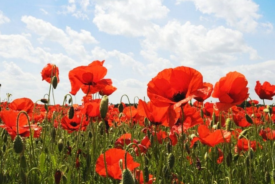 Πασχαλινή διακόσμηση με λουλούδια: Ιδέες για ένα ανοιξιάτικο σπίτι