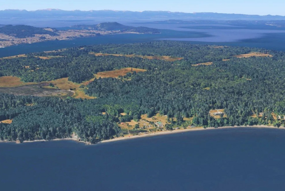 Σοκ στις ακτές της Ουάσινγκτον: 21 νεκρά σκυλιά ξεβράστηκαν σε νησί - Ανεξήγητο μυστήριο ερευνούν οι αρχές