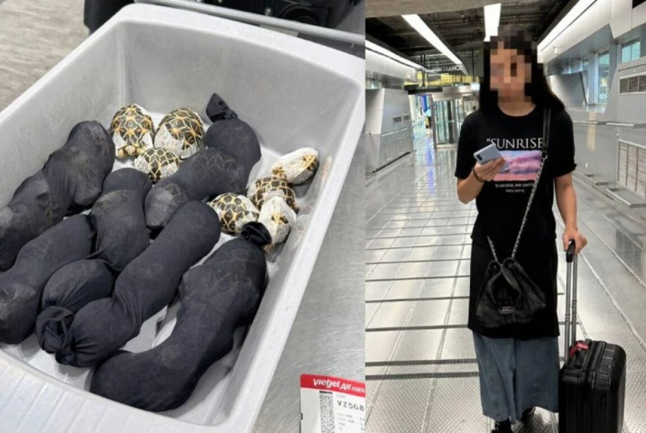&Sigma;&upsilon;&nu;&epsilon;&lambda;ή&phi;&theta;&eta; 19&chi;&rho;&omicron;&nu;&eta; &sigma;&epsilon; &alpha;&epsilon;&rho;&omicron;&delta;&rho;ό&mu;&iota;&omicron; - &Mu;&epsilon;&tau;έ&phi;&epsilon;&rho;&epsilon; 30 &sigma;&pi;ά&nu;&iota;&epsilon;&sigmaf; &chi;&epsilon;&lambda;ώ&nu;&epsilon;&sigmaf; &kappa;&rho;&upsilon;&mu;&mu;έ&nu;&epsilon;&sigmaf; &sigma;&tau;&alpha; &rho;&omicron;ύ&chi;&alpha; &tau;&eta;&sigmaf;