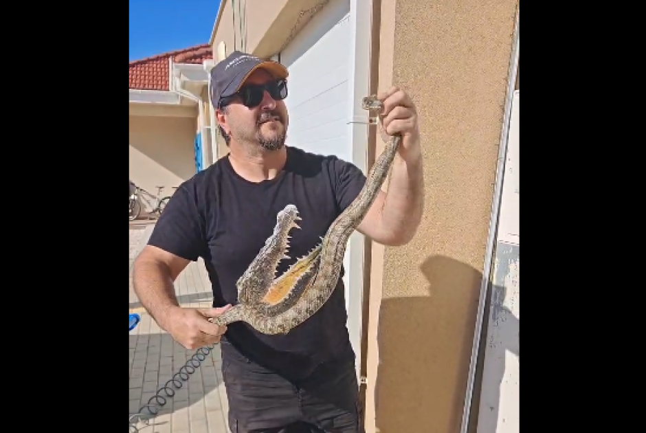 &Phi;ί&nu;&alpha; &kappa;ά&tau;&omega; &alpha;&pi;ό&hellip; &kappa;ά&lambda;&alpha;&theta;&omicron; &sigma;&tau;&eta; &nu;έ&alpha; &epsilon;&rho;&pi;&epsilon;&tau;ό &ndash; &pi;&epsilon;&rho;&iota;&pi;έ&tau;&epsilon;&iota;&alpha; &tau;&omicron;&upsilon; &Alpha;&gamma;&gamma;&epsilon;&lambda;ή &ndash; &laquo;&Pi;&omicron;&lambda;&lambda;ή &tau;&omicron; &kappa;&alpha;&kappa;ό &phi;έ&tau;&omicron;&sigmaf;&raquo; (&Beta;&Iota;&Nu;&Tau;&Epsilon;&Omicron;)