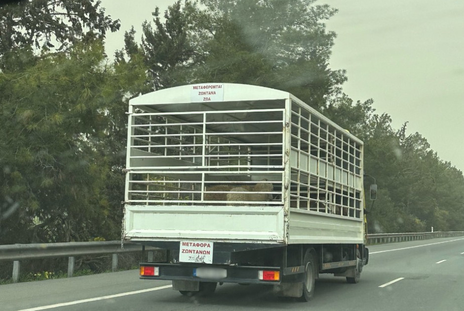 &Mu;&epsilon;&tau;&alpha;&phi;&omicron;&rho;ά &zeta;&omega;&nu;&tau;&alpha;&nu;ώ&nu; &zeta;ώ&omega;&nu;... &Eta; &epsilon;&iota;&rho;&omega;&nu;&epsilon;ί&alpha; &tau;&omicron;&upsilon; &alpha;&upsilon;&tau;&omicron;&nu;ό&eta;&tau;&omicron;&upsilon; &sigma;&epsilon; &mu;&iota;&alpha; &epsilon;&pi;&omicron;&chi;ή &pi;&omicron;&upsilon; &tau;ί&pi;&omicron;&tau;&alpha; &delta;&epsilon;&nu; &theta;&epsilon;&omega;&rho;&epsilon;ί&tau;&alpha;&iota; &delta;&epsilon;&delta;&omicron;&mu;έ&nu;&omicron;