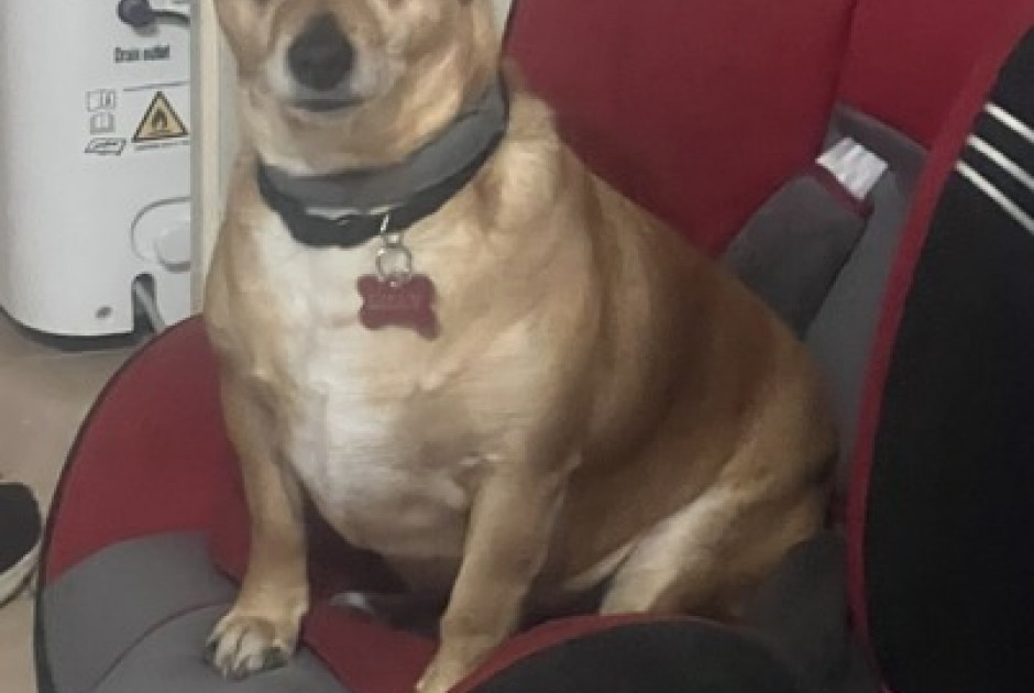 Οκτώ μήνες χωρίς απαντήσεις για τη δηλητηρίαση της «Λίλλυ» (ΦΩΤΟΣ)