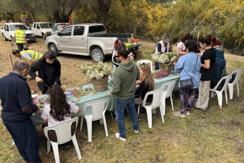 Ο ΣΕΛΚ ενισχύει το αστικό πράσινο με δράση δεν δροφύτευσης στη Λακατάμεια