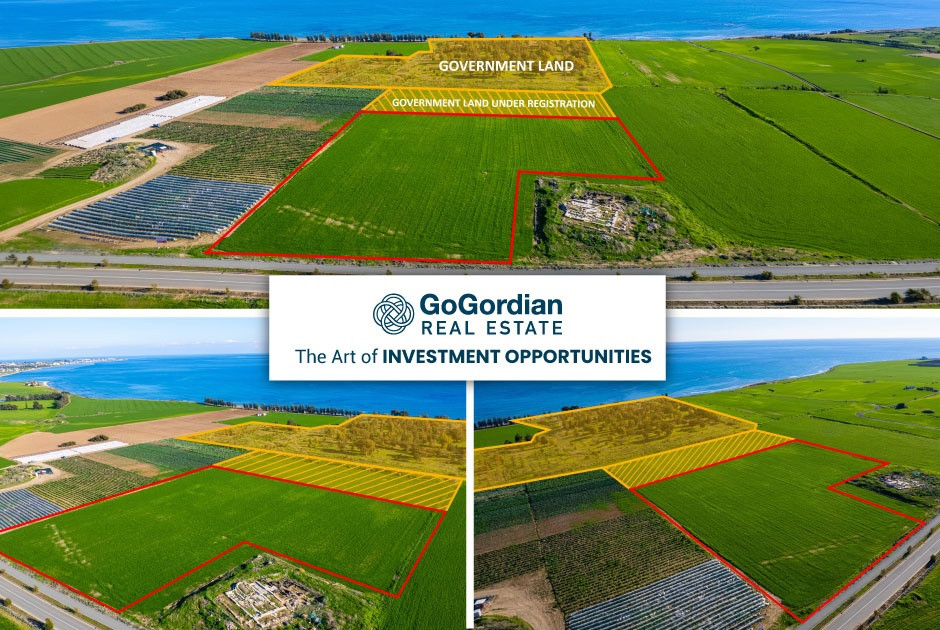 The Art of INVESTMENT OPPORTUNITIES