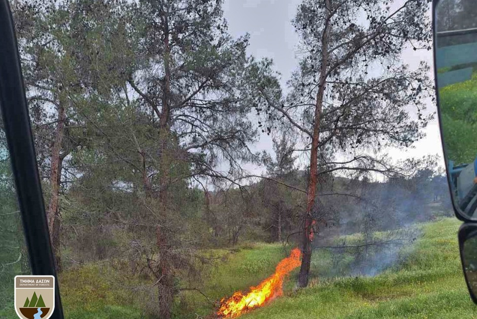 Υπό πλήρη έλεγχο δασικές πυρκαγιές από πτώσεις κεραυνών