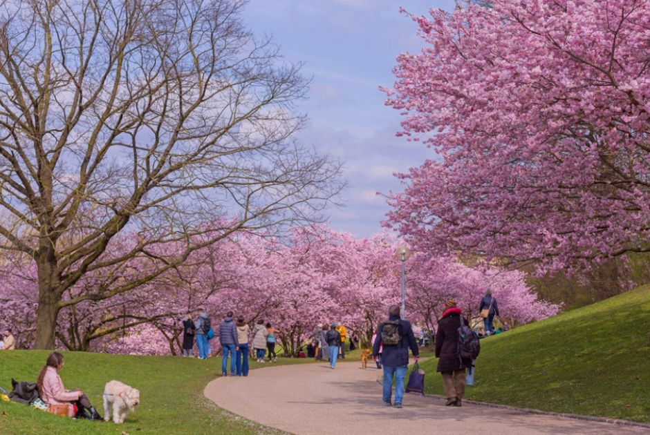 &Eta; &kappa;&lambda;&iota;&mu;&alpha;&tau;&iota;&kappa;ή &alpha;&lambda;&lambda;&alpha;&gamma;ή &pi;&alpha;&rho;&alpha;&tau;&epsilon;ί&nu;&epsilon;&iota; &tau;&eta;&nu; &epsilon;&pi;&omicron;&chi;ή &tau;&eta;&sigmaf; &gamma;ύ&rho;&eta;&sigmaf; &sigma;&tau;&eta;&nu; &Epsilon;&upsilon;&rho;ώ&pi;&eta;