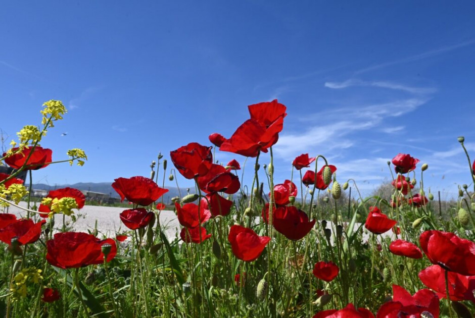 &Pi;&omicron;&iota;&omicron;&iota; &gamma;&iota;&omicron;&rho;&tau;ά&zeta;&omicron;&upsilon;&nu; &sigma;&tau;&iota;&sigmaf; 21 &Alpha;&pi;&rho;&iota;&lambda;ί&omicron;&upsilon;