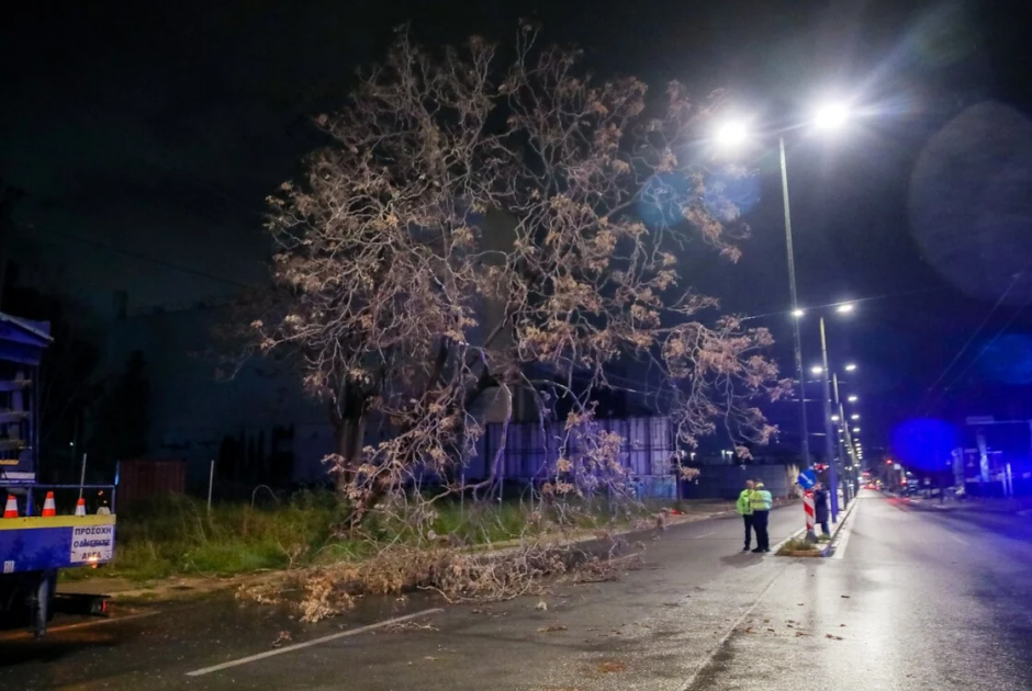 K&alpha;&kappa;&omicron;&kappa;&alpha;&iota;&rho;ί&alpha; Erminio: &Nu;&epsilon;&kappa;&rho;ό&sigmaf; ά&nu;&delta;&rho;&alpha;&sigmaf; &sigma;&tau;&eta; &Nu;έ&alpha; &Mu;ά&kappa;&rho;&eta; - &Pi;&tau;ώ&sigma;&epsilon;&iota;&sigmaf; &delta;έ&nu;&tau;&rho;&omega;&nu;, &delta;&rho;ό&mu;&omicron;&iota; &chi;&epsilon;ί&mu;&alpha;&rho;&rho;&omicron;&iota; &kappa;&alpha;&iota; &delta;&iota;&alpha;&kappa;&omicron;&pi;έ&sigmaf; &rho;&epsilon;ύ