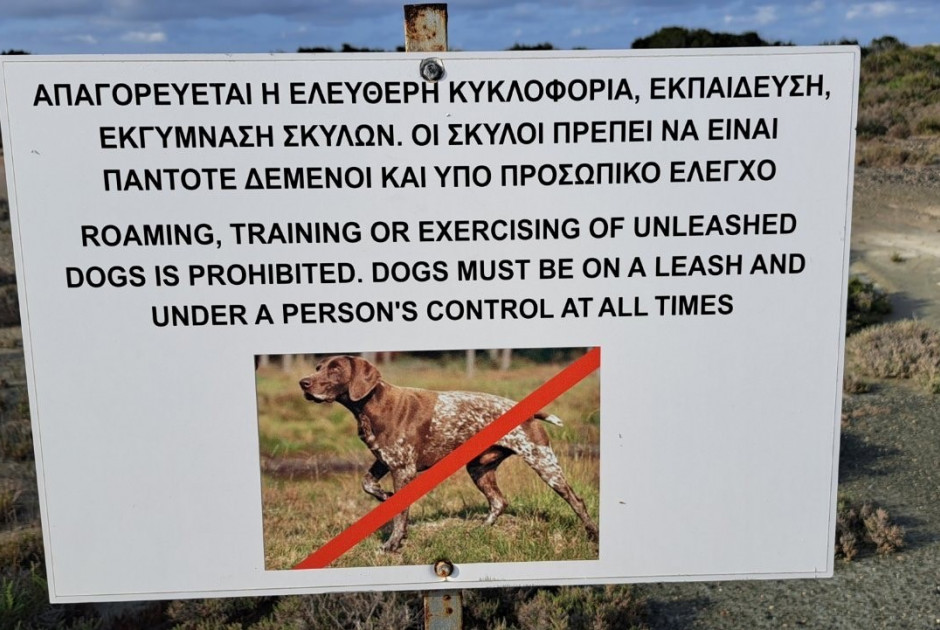 φεδσ