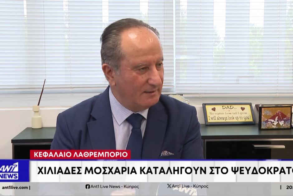 Κεφάλαιο λαθρεμπόριο: Χιλιάδες μοσχάρια καταλήγουν στο ψευδοκράτος (ΒΙΝΤΕΟ)