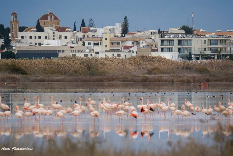 Απαντά ο Δήμος Παραλιμνίου-Δερύνειας για τη λίμνη: «Η διαχείριση γίνεται από το κράτος»