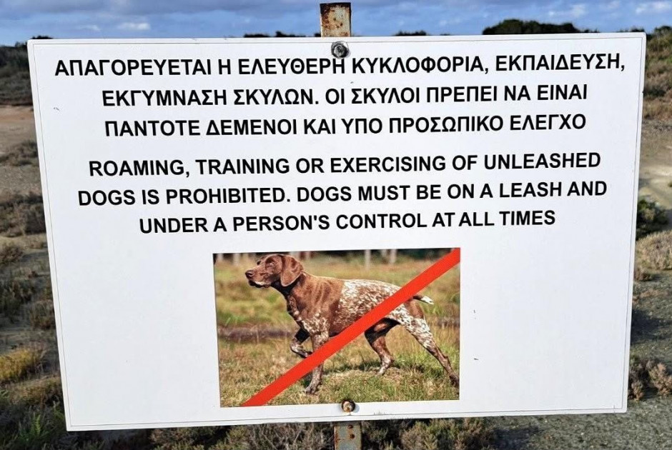 σσσ