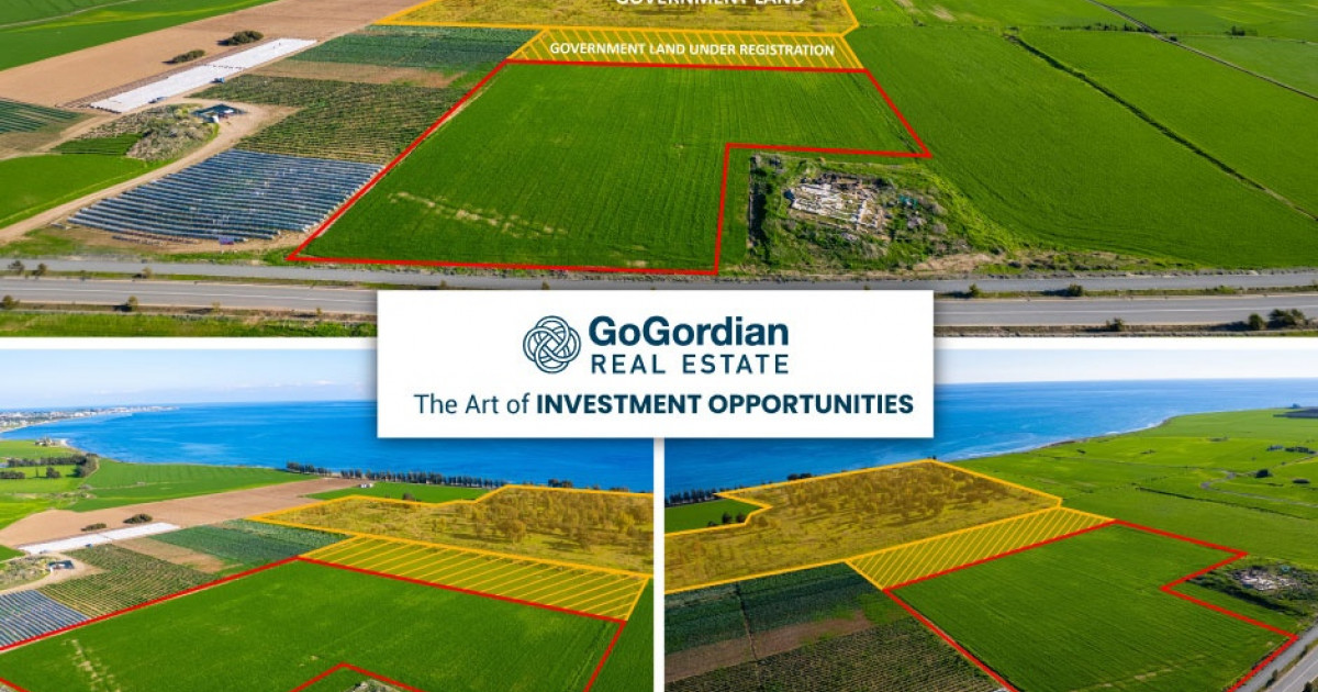 The Art of INVESTMENT OPPORTUNITIES | Ant1 Live