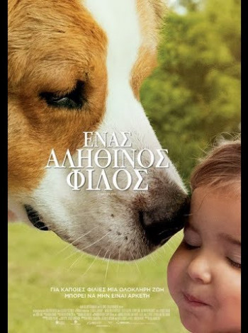 adogsjourney