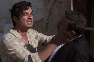 Άγριες Μέλισσες ΑΝΤ1 Σειρά