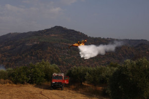 πυρκαγια σκοπελος