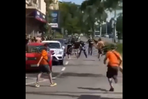 αποελ