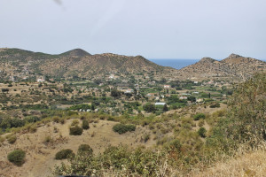 λιμνιτης