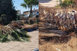 πτωση φοινικιας