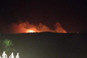 πυρκαγια 31/07