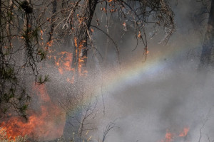 πυρκαγια ελλαδα