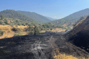 πυρκαγια νικηταρι