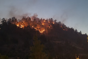 φλογες - πυρκαγια