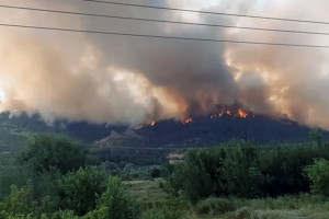 φωτιά Δαδιά Έβρος