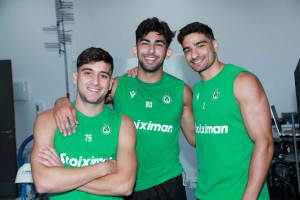 λοιζου κακουλλης ψαλτης 