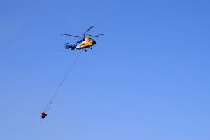 Kamov