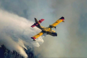 canadair 