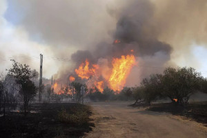 δασικη πυρκαγια βερολινο