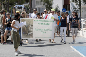 διαμαρτυρια γατος