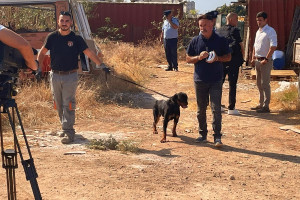 επίθεση σκύλου Λεμεσός