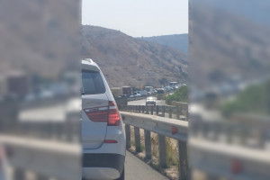 καραμπολα