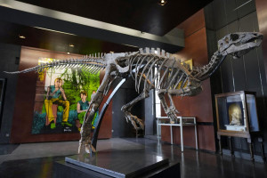 σκελετός δεινόσαυρου Παρίσι