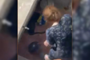 γάτα Νίκαια