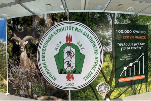 εκθεση