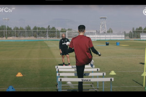 δαδ