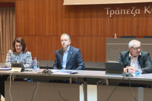 Πανίκος Νικολάου.
