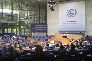 COP 27