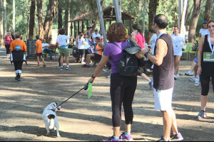 run for park