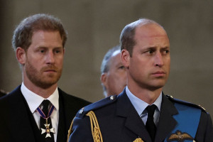 william harry 