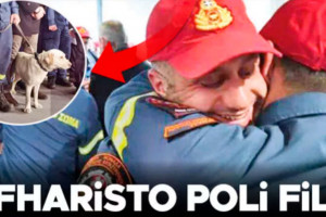 πρωτοσέλιδο εφημερίδας