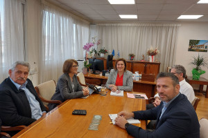 Αθηνά Μιχαηλίδου ΣΕΚ ΠΕΟ